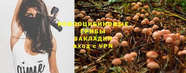 крисы Беломорск