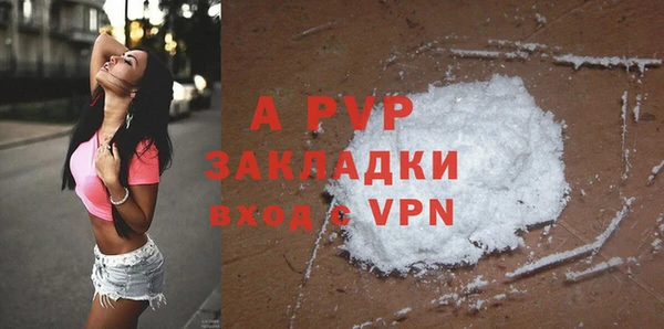 спиды Белокуриха
