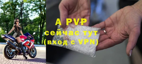 спиды Белокуриха