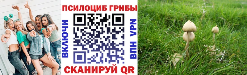 Галлюциногенные грибы Psilocybine cubensis  наркотики  Володарск 